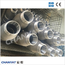 A312 (TP347, TP310H, TP347H) Stainless Steel Pbe/Bbe/Tbe Ecc. Pipe Nipple